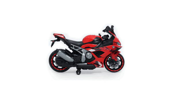 Kids Electric Ride-On Bike 12V | Powerful 550W Double Motor | Ridertoys