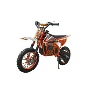 Ridertoys 49cc 2-Stroke DIRT BIKE FOR KIDS