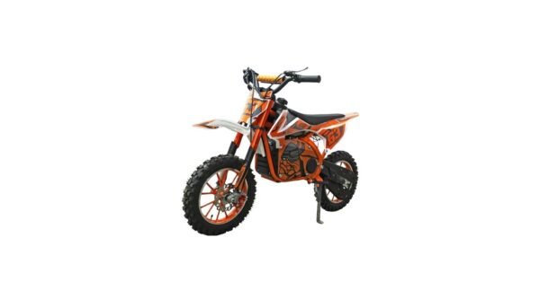 Ridertoys 49cc 2-Stroke DIRT BIKE FOR KIDS