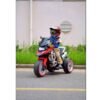 kids bike ridertoys
